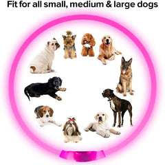 | Glow Pup Safety Collar| Bright Tail LED Collar| Night Paw Rechargeable Collar| Shine Guard Dog Collar| Lumia Lead Waterproof Collar| Glow Buddy Pet Safety Collar| Pup Beacon LED Collar| Safe Shine Outdoor Dog Collar| Woof Lite Visibility Collar| Neon Paws Night Collar|