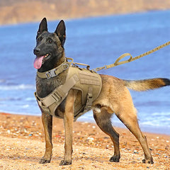 Tactical Canine Control Vest