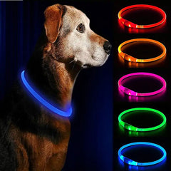 | Glow Pup Safety Collar| Bright Tail LED Collar| Night Paw Rechargeable Collar| Shine Guard Dog Collar| Lumia Lead Waterproof Collar| Glow Buddy Pet Safety Collar| Pup Beacon LED Collar| Safe Shine Outdoor Dog Collar| Woof Lite Visibility Collar| Neon Paws Night Collar|