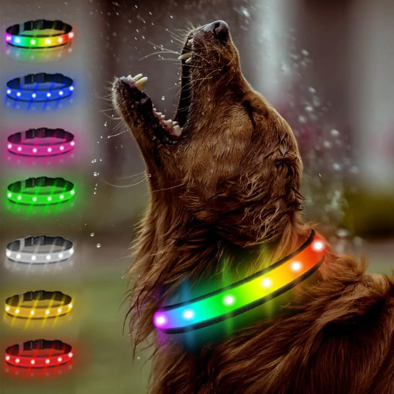 | Glow Spectrum Dog Collar| Color Burst LED Pet Collar| Rainbow Paw Light Collar| Prism Glow Dog Collar| 