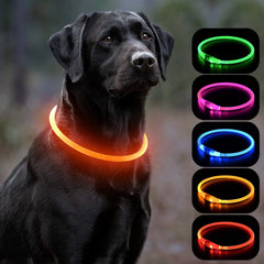 Vizbrite LED Dog Collar USB Rechargeable Light Up Dog Collars Glow Safety Basic Dog Collars for Night Walking Waterproof Collar for Small Medium Large Dogs