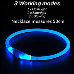 | Glow Pup Safety Collar| Bright Tail LED Collar| Night Paw Rechargeable Collar| Shine Guard Dog Collar| Lumia Lead Waterproof Collar| Glow Buddy Pet Safety Collar| Pup Beacon LED Collar| Safe Shine Outdoor Dog Collar| Woof Lite Visibility Collar| Neon Paws Night Collar|