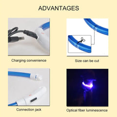 | Glow Pup Safety Collar| Bright Tail LED Collar| Night Paw Rechargeable Collar| Shine Guard Dog Collar| Lumia Lead Waterproof Collar| Glow Buddy Pet Safety Collar| Pup Beacon LED Collar| Safe Shine Outdoor Dog Collar| Woof Lite Visibility Collar| Neon Paws Night Collar|