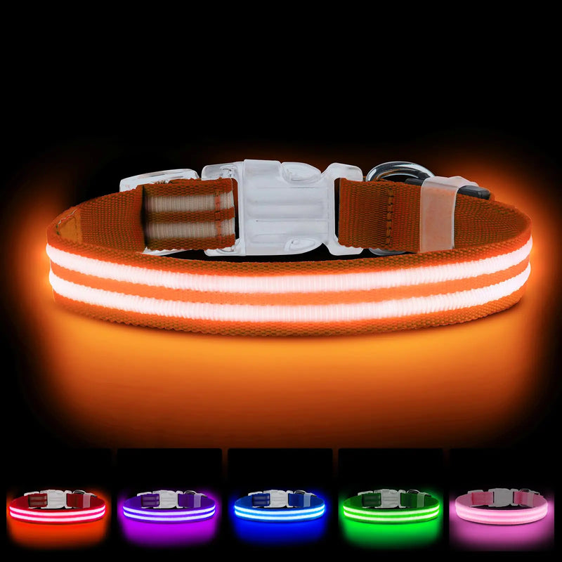 LED Dog Collar USB Rechargeable Light Up Dog Collar Adjustable Glowing Dog Collars Comfortable Soft Dog Collar for Small Medium Large Dogs Glow Collars for Night Walking-Orange M