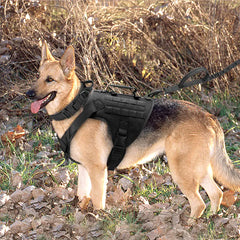 Tactical Canine Control Vest