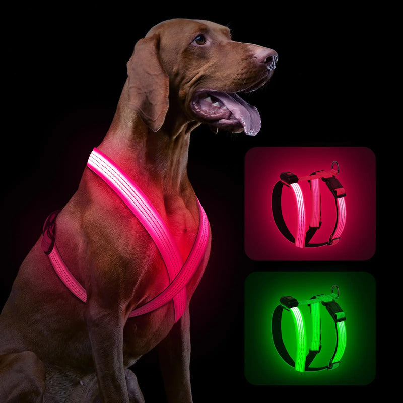 Light Up Dog Harness Rechargeable LED Dog Harness Reflective Dog Harness Adjustable Soft Lighted Dog Harness for Night Walking Glowing Dog Vest for Small Medium Large Dog